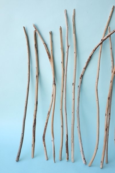 画像4: 棒流木・極細セット (4)