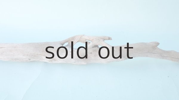 画像4: 流木根 (4)