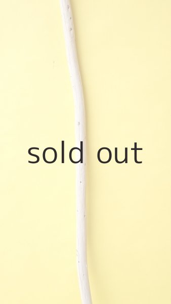 画像3: 棒流木 (3)