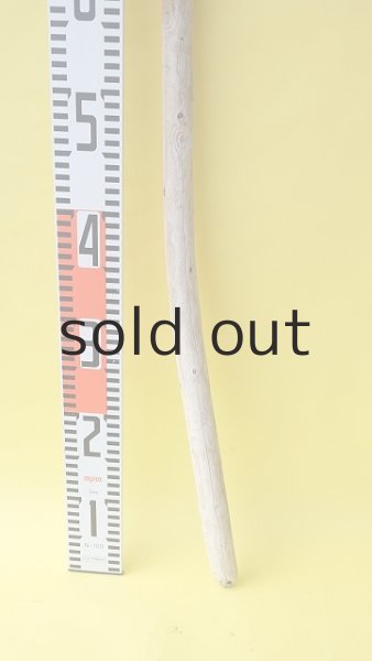 画像5: 棒流木 (5)