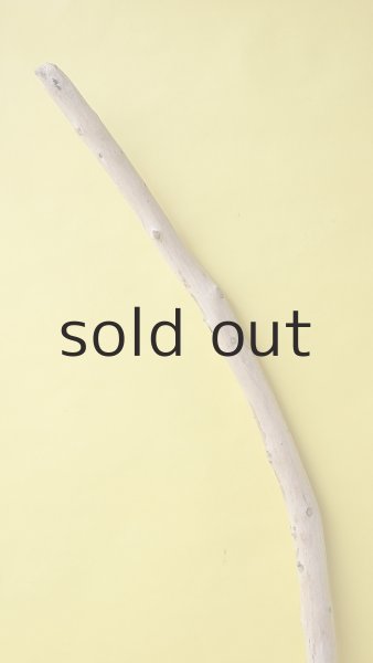 画像4: 棒流木 (4)