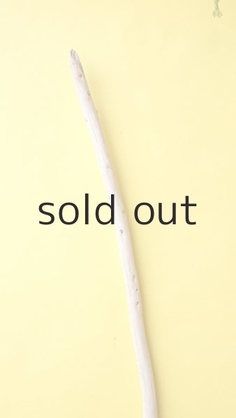 画像4: 棒流木 (4)