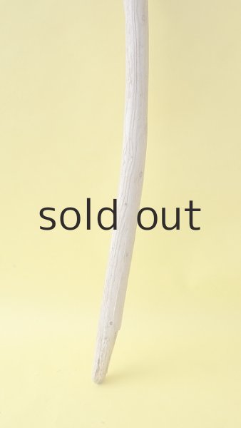 画像2: 棒流木 (2)