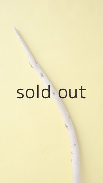 画像4: 棒流木 (4)