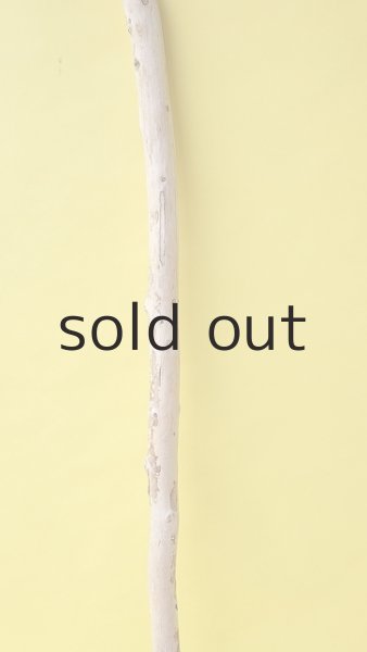 画像3: 棒流木 (3)