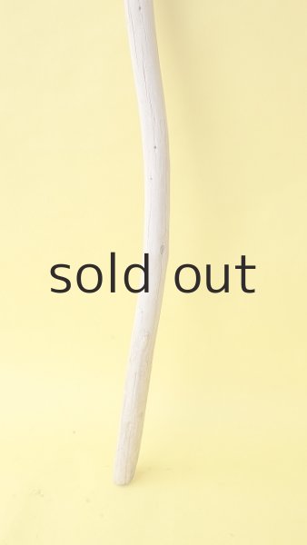 画像2: 棒流木 (2)