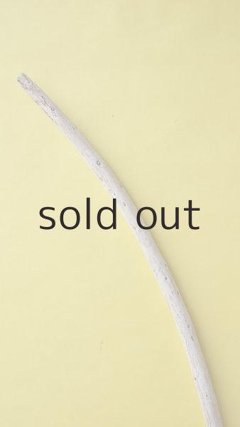 画像4: 棒流木 (4)