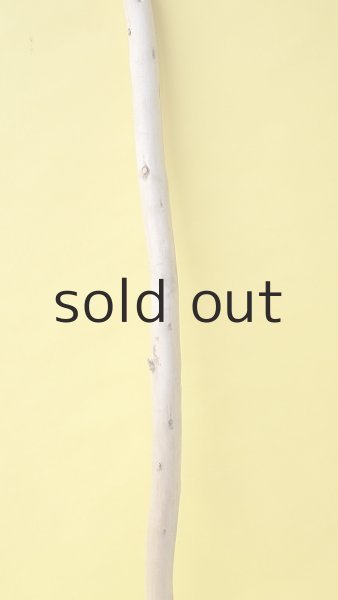 画像3: 棒流木 (3)