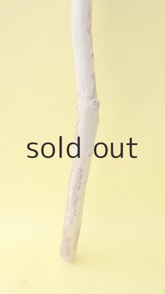 画像2: 棒流木 (2)