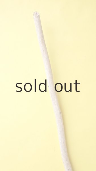 画像4: 棒流木 (4)