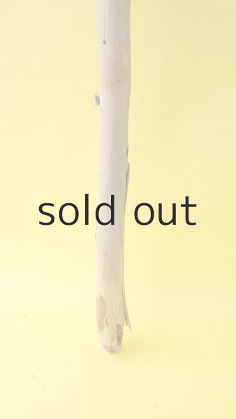 画像2: 棒流木 (2)