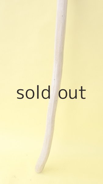 画像2: 棒流木 (2)