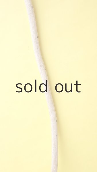 画像3: 棒流木 (3)