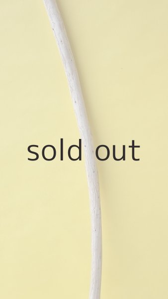 画像3: 棒流木 (3)