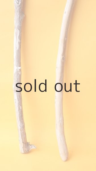 画像2: 棒流木セット (2)