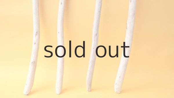 画像2: 棒流木セット (2)