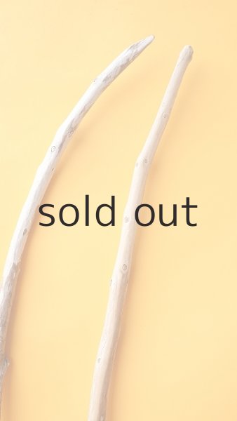 画像3: 棒流木セット (3)