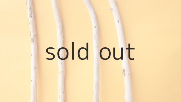 画像3: 棒流木セット (3)