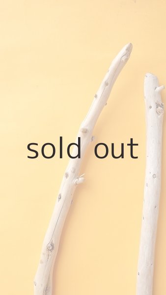 画像4: 棒流木 (4)