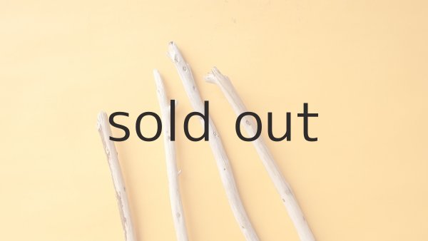 画像5: 棒流木セット (5)