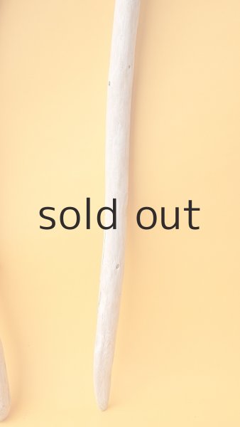 画像3: 棒流木 (3)