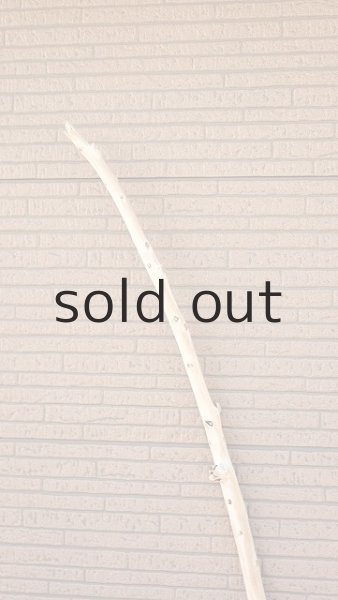 画像4: 棒流木・長尺 (4)