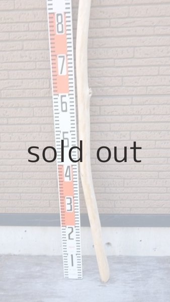 画像5: 棒流木・長尺 (5)