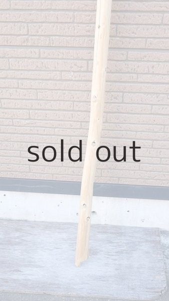 画像2: 棒流木・長尺 (2)