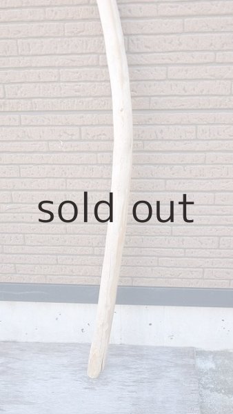 画像2: 棒流木・長尺 (2)