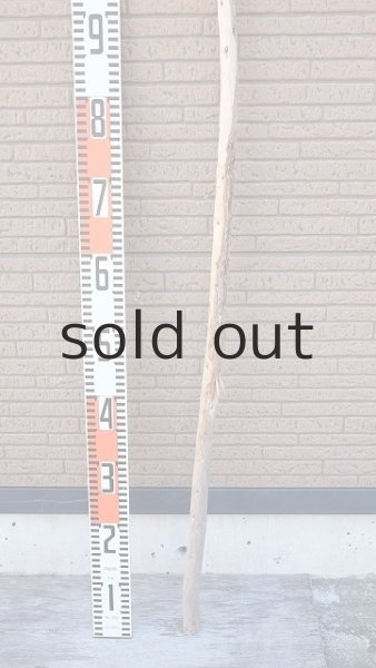 画像5: 棒流木・長尺 (5)