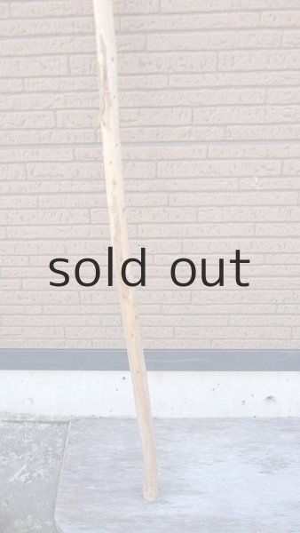 画像2: 棒流木・長尺 (2)