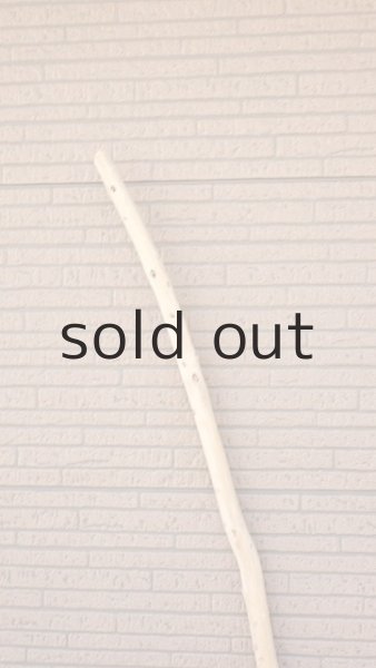 画像4: 棒流木・長尺 (4)