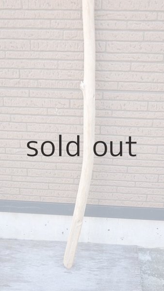 画像2: 棒流木・長尺 (2)