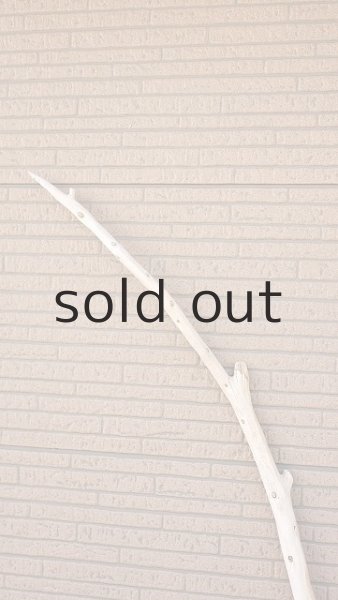 画像4: 棒流木・長尺 (4)