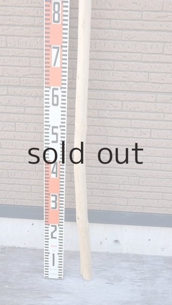 画像5: 棒流木・長尺 (5)