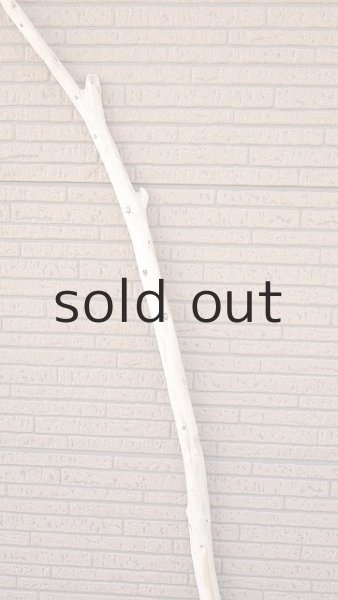 画像3: 棒流木・長尺 (3)