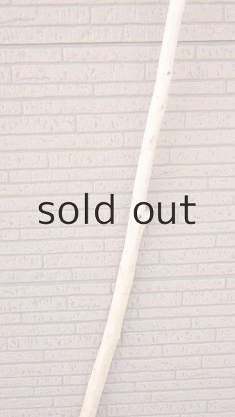 画像3: 棒流木・長尺 (3)