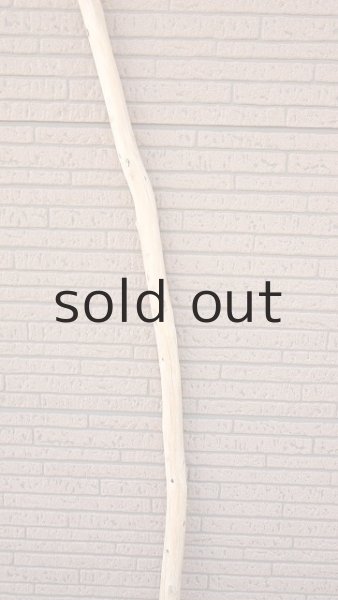 画像3: 棒流木・長尺 (3)