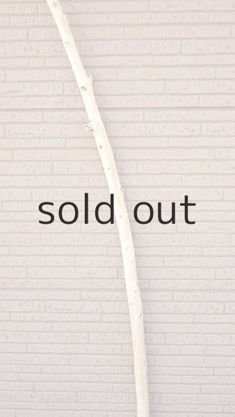 画像3: 棒流木・長尺 (3)