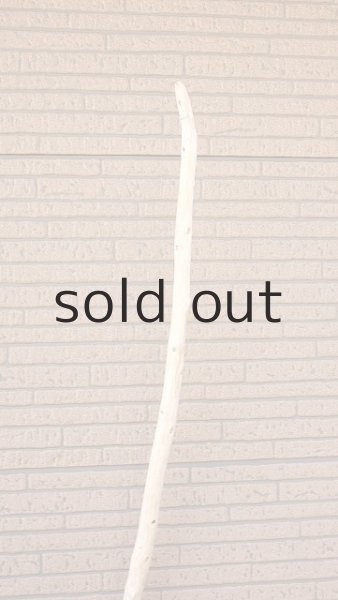 画像4: 棒流木・長尺 (4)