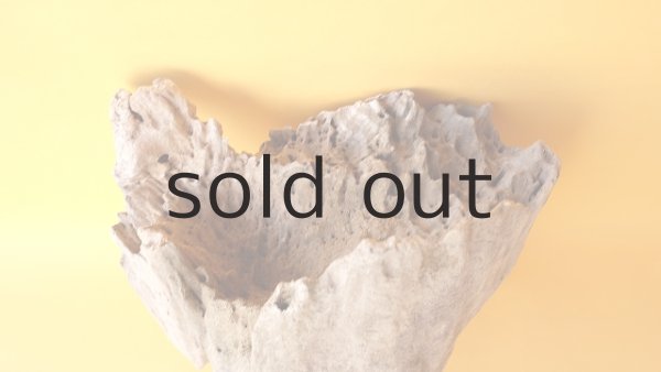 画像3: 変形流木 (3)