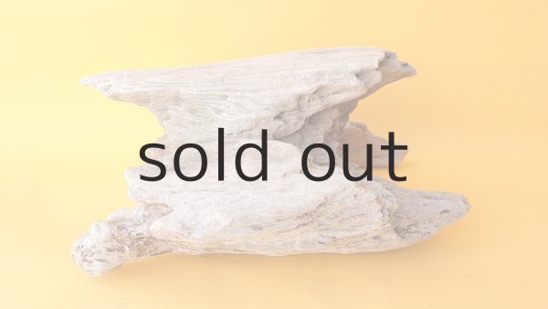 画像7: 変形流木 (7)