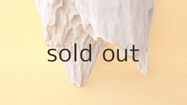 画像2: 変形流木 (2)