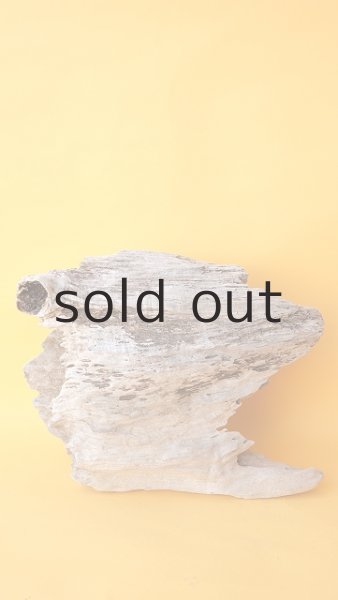 画像9: 変形流木 (9)