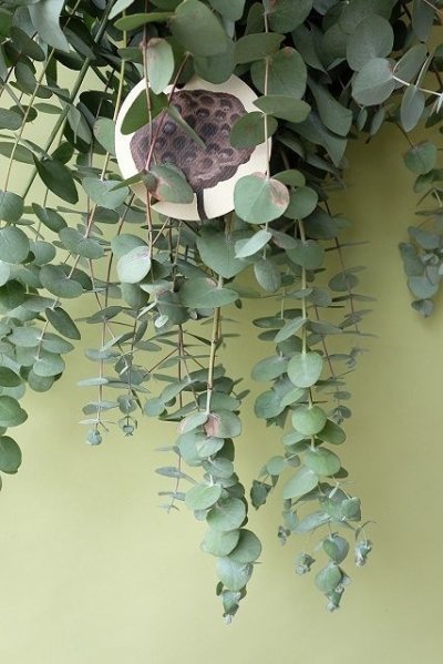 画像3: Dry plants for decor ユーカリシンプルスワッグ