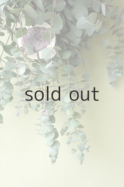 画像3: Dry plants for decor ユーカリシンプルスワッグ (3)