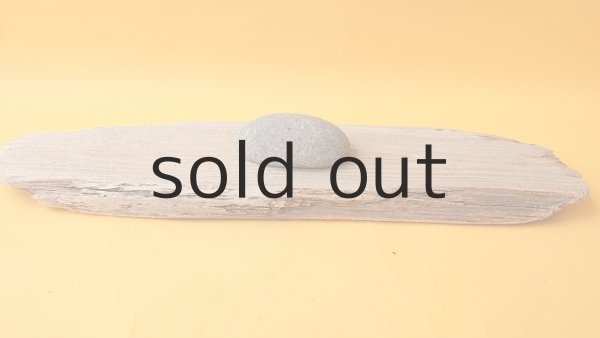 画像4: 板流木 (4)