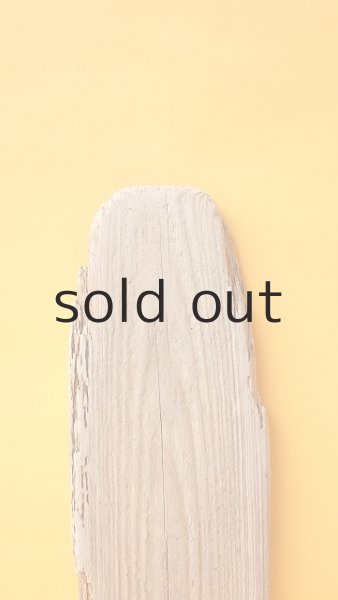 画像3: 板流木 (3)