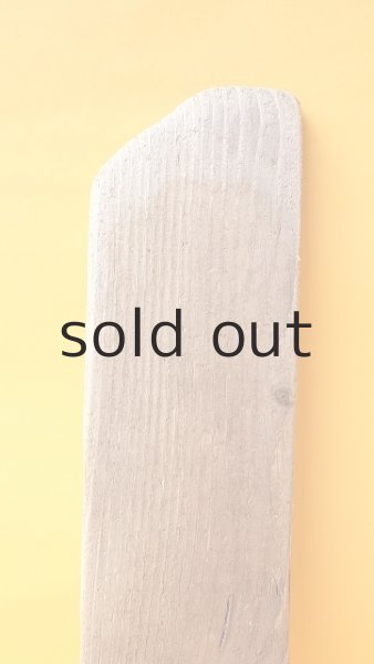 画像3: 板流木 (3)