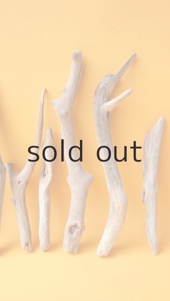 画像3: 小枝流木セット (3)